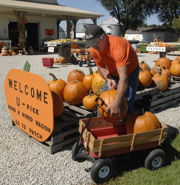 Gail's Pumpkin Patch